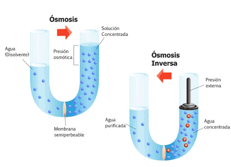 Diagrama de proceso de ósmosis y ósmosis inversa