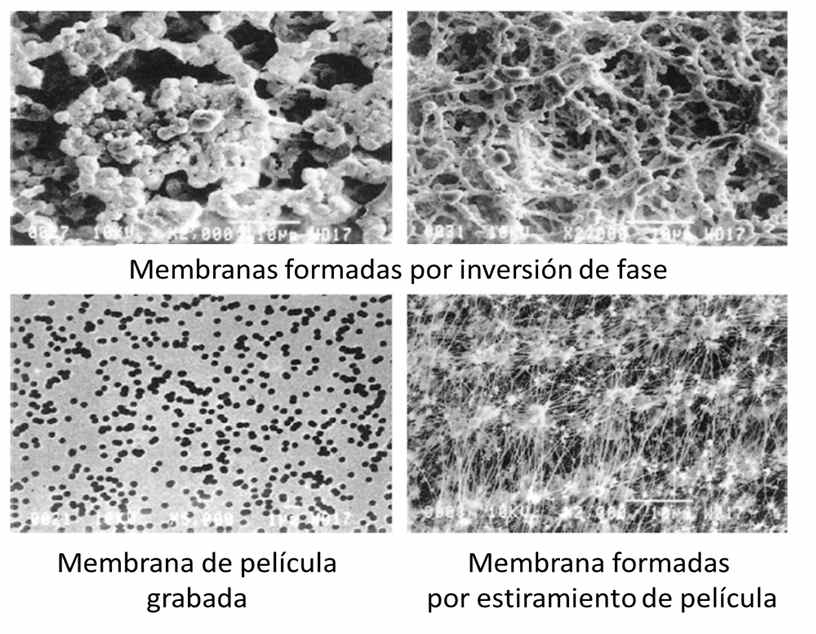 Membranas