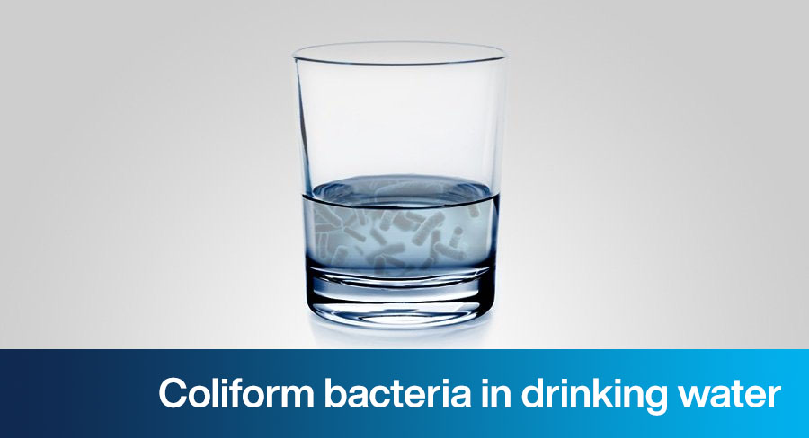 Coliform bacteria in drinking water