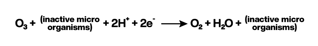 Reaction by which ozone inactivates the microorganisms present in water