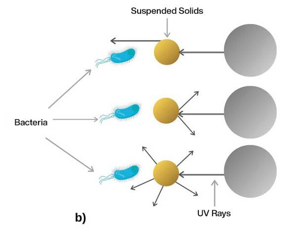 UV Bacteria Disinfection