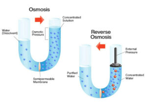 What Is Reverse Osmosis? - Carbotecnia