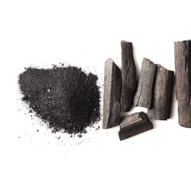 🖤Carbón VEGETAL vs Carbón ACTIVADO, ORO Negro en tus Plantas🌹 
